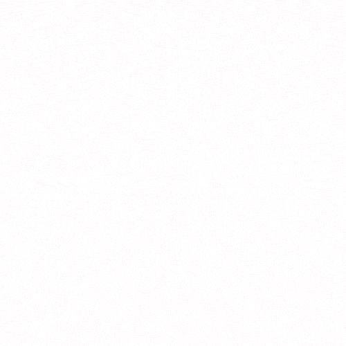 nri-services animation